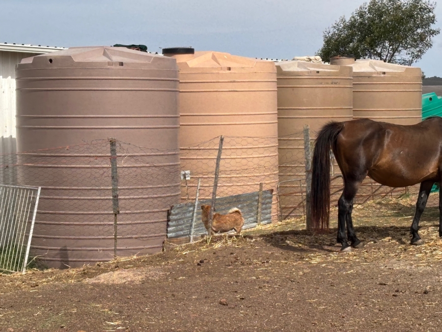 0 Bedroom Property for Sale in Swellendam Rural Western Cape